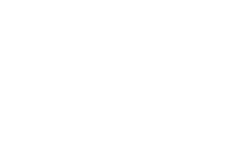 Sponsor 2